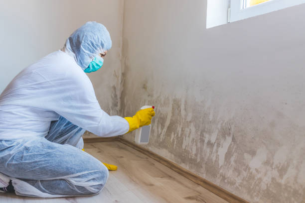 Crawl Space Mold Remediation treatment of floor joists in Trenton